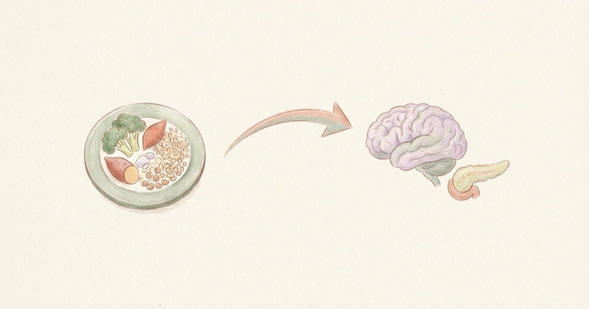 Ilustração de um prato de comida, uma seta curva saindo dele em direção a um cérebro e a um pâncreas desenhados de forma simples, sobre fundo claro